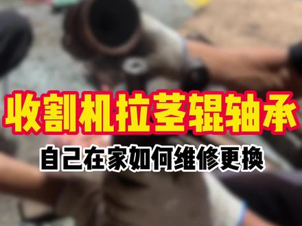 收割机拉茎辊轴承如何自己拆卸更换 #收割机 #玉米收割机