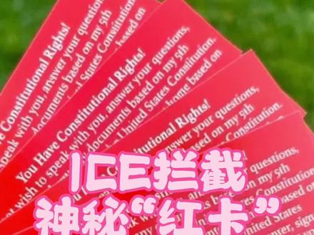ICE拦截检查,神秘“红卡”真的能保命吗#美国生活 #干货分 ICE拦截检查,神秘“红卡”真的能保命吗#美国生活 #干货分享 #老油条