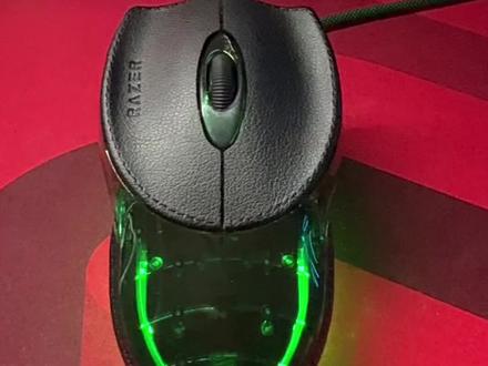 雷蛇布斯朗悍蛇展示#雷蛇 #外设 #雷蛇20周年 #雷蛇布斯朗悍蛇