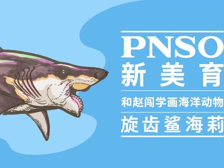 在早期的复原中,旋齿鲨的尾鳍非常细长,类似鲛类,但现在人们认为旋齿鲨的尾鳍呈新月形,上下尾叶几乎完全对称。
#PNSO #和赵闯学画海洋动物 #古生物 #旋齿鲨 #科学艺术 #科普