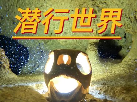 沉浸式探秘,令人窒息的海龟坟墓!
全球必去的100个潜点,第二集!马来西亚龟冢#潜行世界 #潜行中国 #潜水 #探险