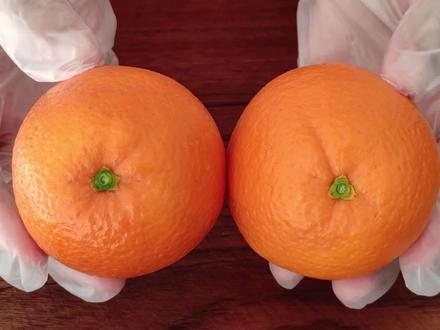 橙子学会这样切,客人吃着也方便,不脏手不流汁,看一遍就能学会 #橙子 #美食 #好吃 #做法 #切橙子