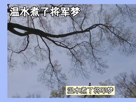 温水煮了将军梦,现实压垮少年肩#奋斗的你 #顽强的活着