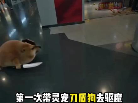 灵宠刀盾狗的首战 #我的刀盾 #抽象 #ai创作浪潮计划 #ai新春游园会 #刀盾狗