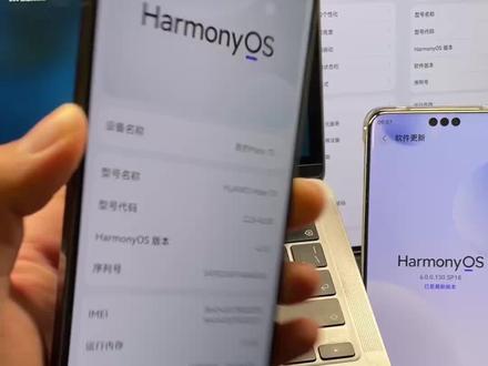 鸿蒙4.3也装上了鸿蒙6的主题包 #可靠的Mate#鸿蒙越用越香#玩机技巧#数码科技#我的鸿蒙体验@凡尘难渡我