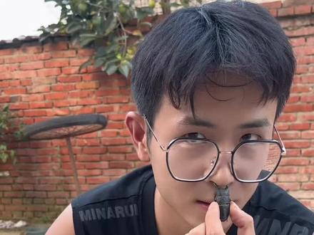 陈振华和一只甲虫的故事#精神状态belike #万万没想到 #抽象