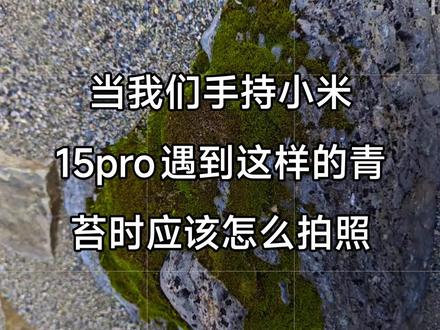 小米15pro拍照教程来了#小米15pro #手机摄像 #小米实况 #雷军 #内容启发搜索