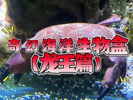 真是大开眼界了,居然真的有海龙王! #诺亚方缸