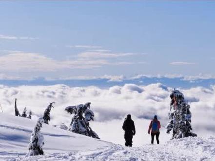 怎么更改视频的分辨率!
这一节来讲讲怎么更改视频的分辨率。我们打开影忆,点击箭头所指的“创建新制作”按钮,在弹出的“新建”对话框,设置我们需要的分辨率。在“视频尺寸”下拉框,我们可以看到影忆预设了很多分辨率,一键即可应用。如果你要的分辨率比较特殊,不在列表中,那可以选择“自定义分辨率”,直接输入需要的数值。这里我们以横屏分辨率改成竖屏为例。我们在“视频尺寸”下拉框选择“1080*1920(1080P竖屏)”。返回到主界面,将视频拖曳进来,由于视频尺寸不一致,软件会自动加黑边防止视频变形。这里有3种方法快速去掉黑边。第一种是短视频平台常见的方法,给视频上下加上边框,然后在边框上加上字幕。我们点击“画面风格”“滤镜”,双击应用“加黑边框”,在中央参数面板“颜色”一栏,给边框设置一个颜色,调整“上边框”和“下边框”的大小,直到遮住黑边为止。点击“字幕特效”面板,双击视频预览框,输入字幕。第二种方法跟方法一有点类似,我们点击“叠加素材”“加贴图”,给视频上下加上图片,遮住黑边。最后一种方法是将黑边裁剪掉。我们点击“画面风格”“画面”,应用“自由缩放(画面裁剪)”,在“缩放”处设置一个合适的数值,即可放大画面,裁剪掉黑边。#如何调分辨率 #视频制作教学