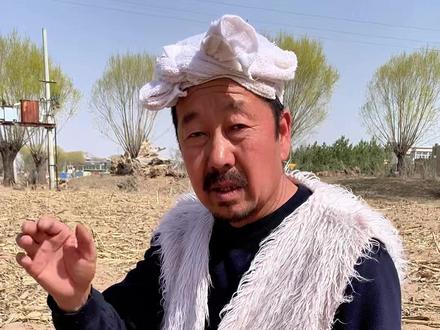 种陕北红葱的方法,刘四教给大家 #农村生活