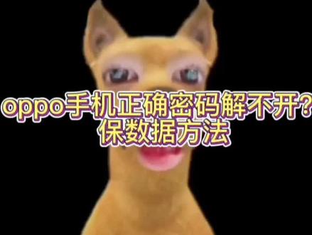#oppo
这是我OPPO手机正确密码解不开时使用过的所有方法。想要保留数据的可以试一试。