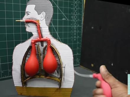 如何制作肺部呼吸模型#用废品制作创意手工 #我爱发明我爱制作 #动手能力培养 #我爱发明创造 #小制作小发明小创造比赛作品