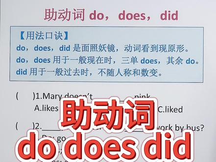 助动词do does did的用法#每天学习英语一点点 #英语语法 #当英语注入灵魂
