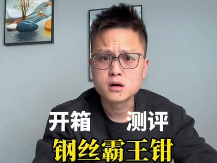 这要能是真的我倒立拉稀 #打假#钢丝钳