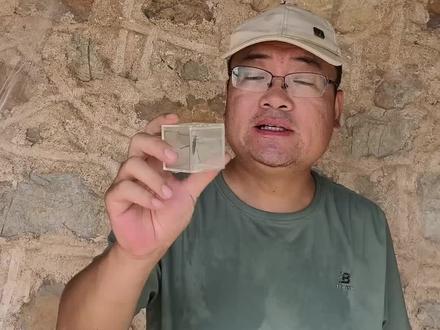 真有58万的天牛?#自然万物都是宝物 #天牛 #昆虫