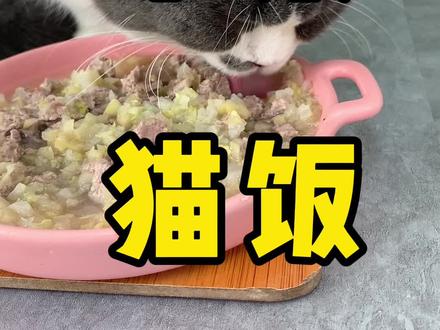 猫咪也可以吃苹果,你知道怎么做吗?快来看看吧 #养宠进阶指南 #自制猫饭 #科学养宠
