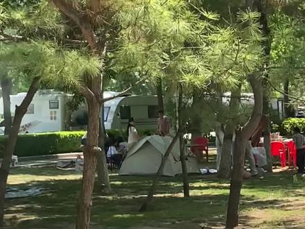 东营可称得上露营圣地了,公园环境不亚于景区,露营氛围非常好,环境还很干净卫生!周末本地露营大朋友非常多,不出门不知道,原来这么多露营户外爱好者啊!#遍地都是露营帐篷 #房车露营地分享 #露营新发现 #露营集结地 #自驾游汽车露营地