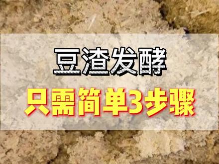 为什么您发酵的豆渣会失败?这几点您做好了吗?#豆渣发酵 #发酵豆渣喂鱼 #豆渣发酵方法