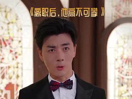 2025年火爆短剧推荐《离职后,他高不可攀》