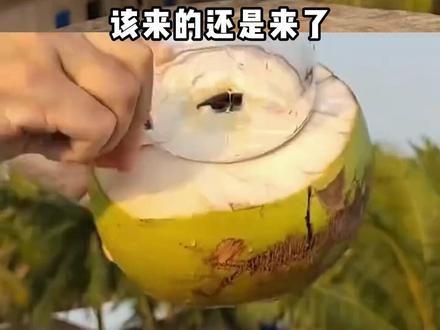 真正的纯天然椰子水,居然是“不清白”的?学会这招再也不用交智商税!#椰子水 #315 #食品安全 #塌房 #新京报椰子水