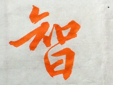 @抖音文化站 行书 智
