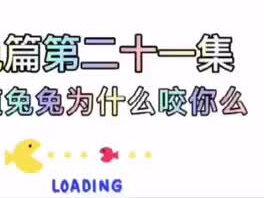 兔兔篇第二十一集:兔兔咬人的原因#兔 #兔子 #兔兔 #宠物兔 #宠物兔子 #科普