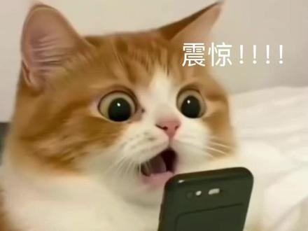 来多闪开启会"说话”的小火人! #多闪app#小火人AI聊天#多闪