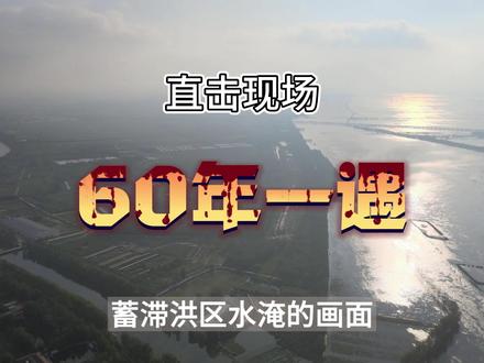 航拍直击东淀蓄滞洪区现状#航拍直击东淀 #防汛抗洪 #生活随拍 #防汛 #大自然 #航拍