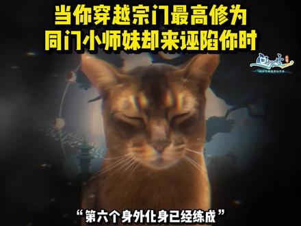 当你被同门小师妹诬陷时 #猫meme