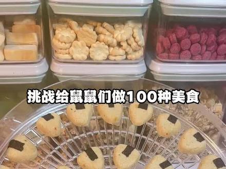 挑战仓鼠100道零食 #仓鼠#仓鼠零食