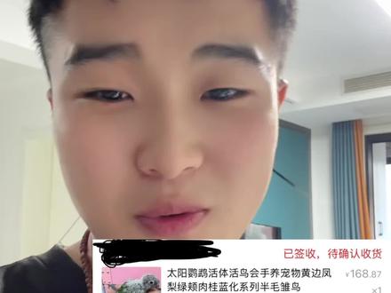 和尚是不是也马上到我能买起的价格了😂#小太阳鹦鹉 #亲子陪伴记录 #创作者中心 #鹦鹉 #宠物