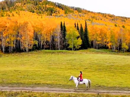 一分钟学会,用贴纸和关键帧及抠像,制作枫叶镂空开场效果视频。#中视频合作伙伴计划 #剪映基础入门教程