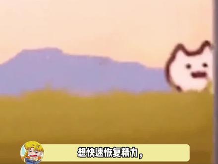 懂了,课间十分钟就这么睡