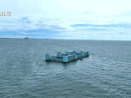 小编带你沉浸式体验“海洋牧场”的日与夜!