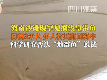 4月2日,海南陵水。#海南一沙滩现3米长搁浅皇带鱼 游客称皇带鱼已濒死,现场多人尝试将其拖回海中,但又被海水冲回岸边。有传言称皇带鱼现身系地震前兆,据科普中国此前报道,科学研究发现深海鱼类与地震并无任何联系。