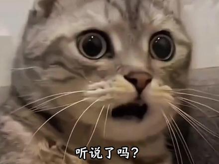 zx听说了吗?水银体温计从明年开始要全面停产了#万万没想到 #温度计 #水银温度计