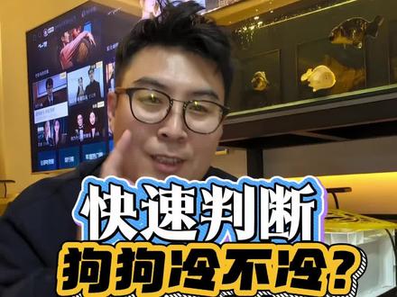 一眼判断你家狗子是不是冷了,让狗子舒舒服服、安安全全过冬!##狗狗 #养狗经验分享 #狗是人类最忠诚的朋友 #雪纳瑞 #狗狗的心思都写在脸上了