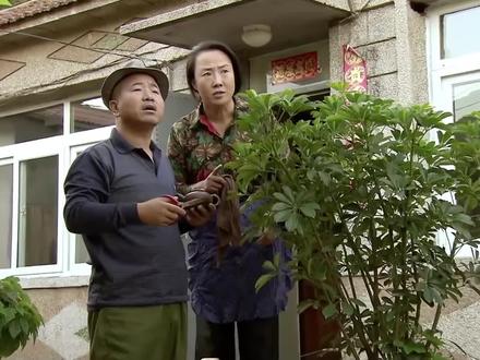 谢广坤得知小蒙流产后生死不明,急哭刘能 #逗哥配音 #臻品达人 #乡村爱情 #刘能 #谢广坤