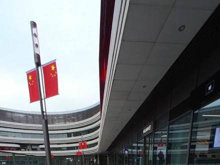 BROSS公路车 Vagabond V3 舒适性公路车,7999上碳架,小姐姐就选他吧#BROSS #骑行 #乐骑派