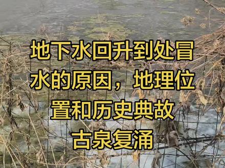 今天给大家讲一下张海庄村的来历,机井,古泉眼,古河道冒水的原因和这一带的人文地理
#三农#农村生活