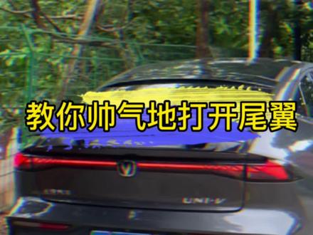 #榜上有名鲸喜大钜惠 #买车看榜单好车选长安 #uni-v
教你帅气地打开后尾翼😉