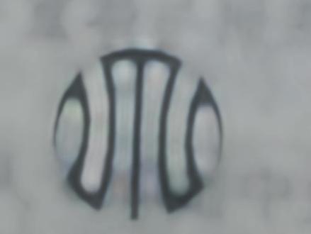 金太阳,听说你很有名?