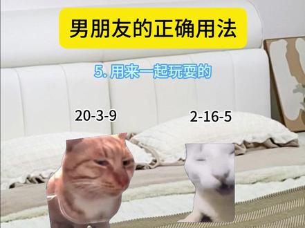 男朋友的正确用法 #猫meme #猫meme小剧场 #情侣