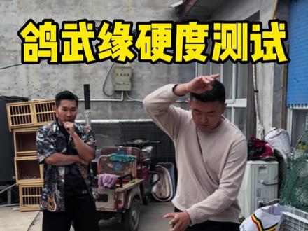 这硬度是专业训练过的“请勿模仿”#鸽武缘