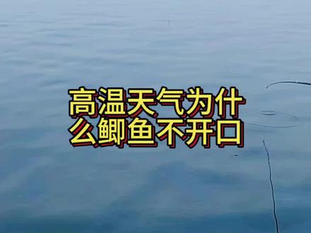 高温天气鲫鱼不开口的原因#钓鱼技巧分享