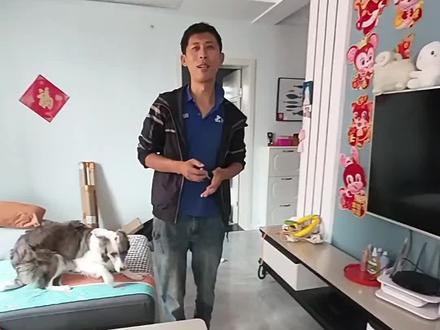 #海尔电视维修
海尔电视换背光
运城盐湖区家电维修