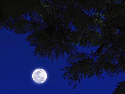 十秒教你白天变治愈系夜景#教程#手机剪辑教学 #治愈系风景