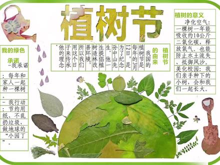 偶然间的一个念头,便有了这份压花植物手抄报。
没有刻意的设计,也无需繁复的绘画,只是拾起几片叶、几朵花,将自然最本真的模样,轻轻贴于纸上。
原来美好不必刻意雕琢,一片叶脉、一缕花香,便足以让纸面生出温柔与生机。
把春天留在纸上,把创意藏进细节,这便是手作最动人的地方。
愿每一份用心,都能被看见;
愿每一份自然之美,都能被温柔珍藏。
#树叶贴画 #春天 #手抄报 #植树节 #自然物手工