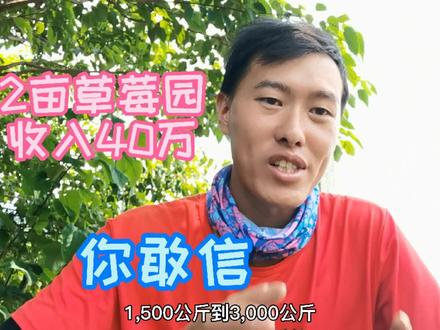 种2亩草莓园年收入40万,你敢信?普通人到低有没有机会 #种草莓 #草莓采摘园 #农村创业