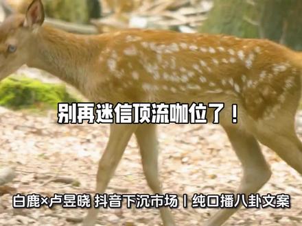 #白鹿×卢昱晓 抖音下沉市场#文娱#热门话题#
